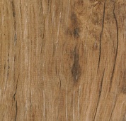 Teak Walnut