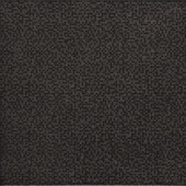 Aurea Negro