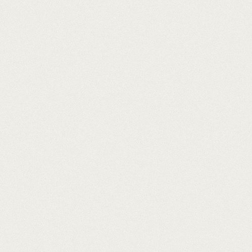 Trend White