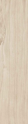 Ocala Maple