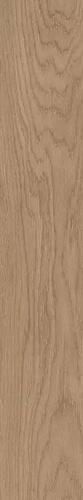 Forest Roble
