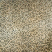 Cavallino Leopard