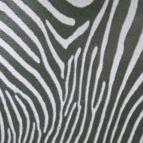 Cavallino Zebra
