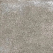 Moliere Gris