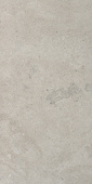Portlandstone Gris Mat