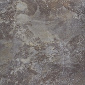 Tundra African
