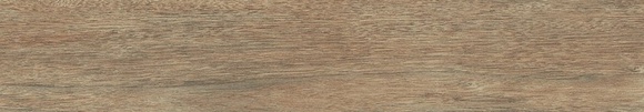 Newtron Roble