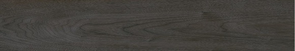 Newtron Antracita